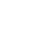 schock_logo